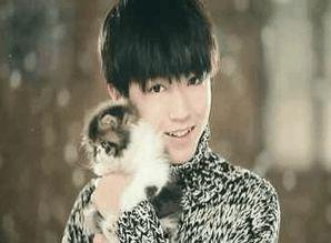 娱乐圈吃瓜爆料吴磊赵今麦,娱乐圈新恋情曝光？  第3张