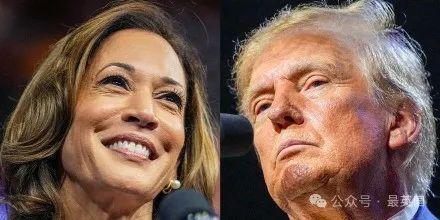 川普外婆爆料视频大全集,揭秘美国总统家族背后的惊人真相  第2张