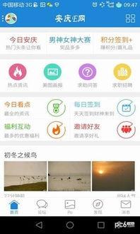 安庆工厂爆料视频,揭秘生产线真实情况  第2张